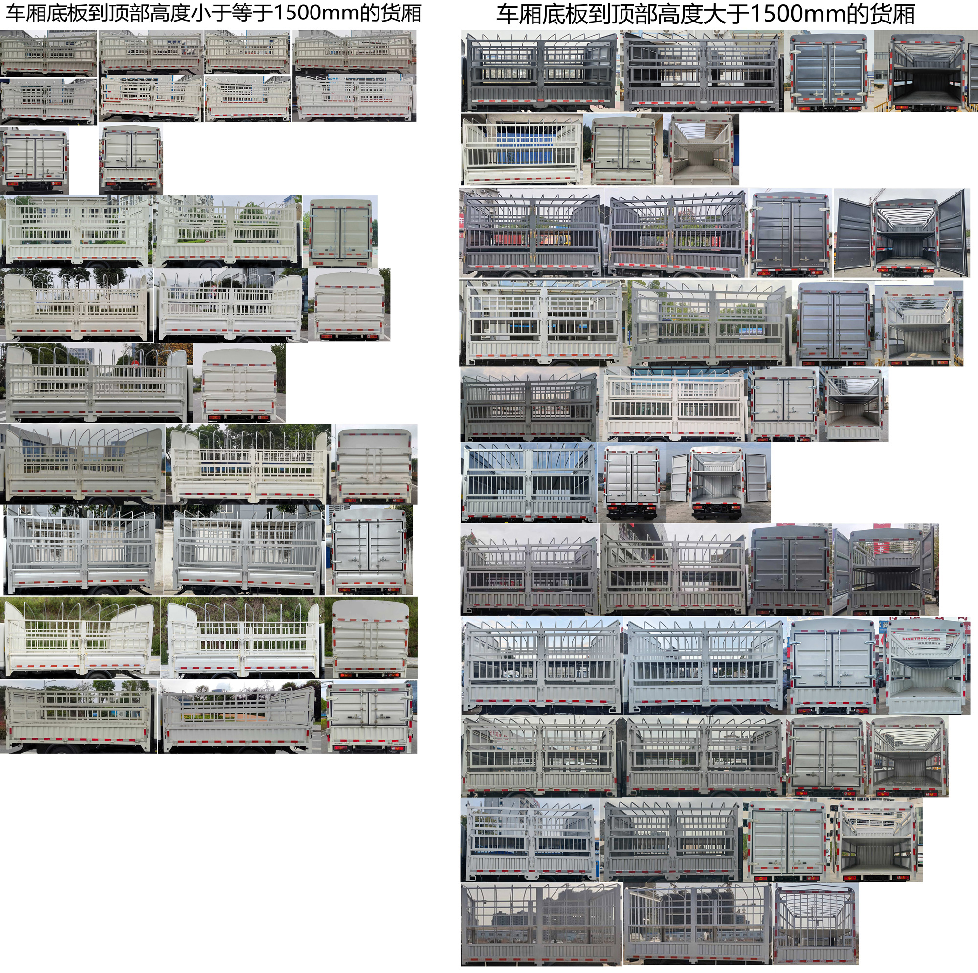 福田牌BJ5045CCY9PB5-24倉柵式運輸車公告圖片