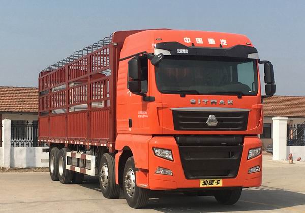 汕德卡牌ZZ5316CCYV466HF1B倉柵式運輸車公告圖片