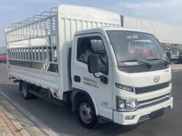 SH5043CCYPEDBNZ2仓栅式运输车图片