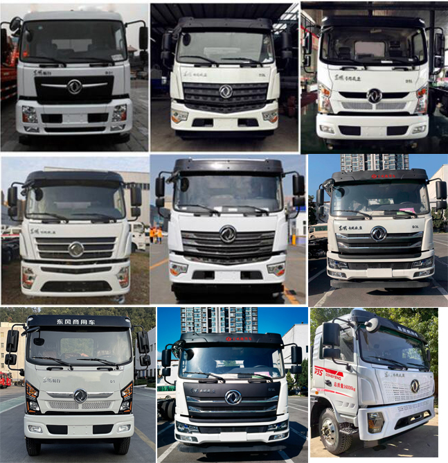 中盛誠達(dá)牌LZZ5163GXEDF6吸糞車公告圖片