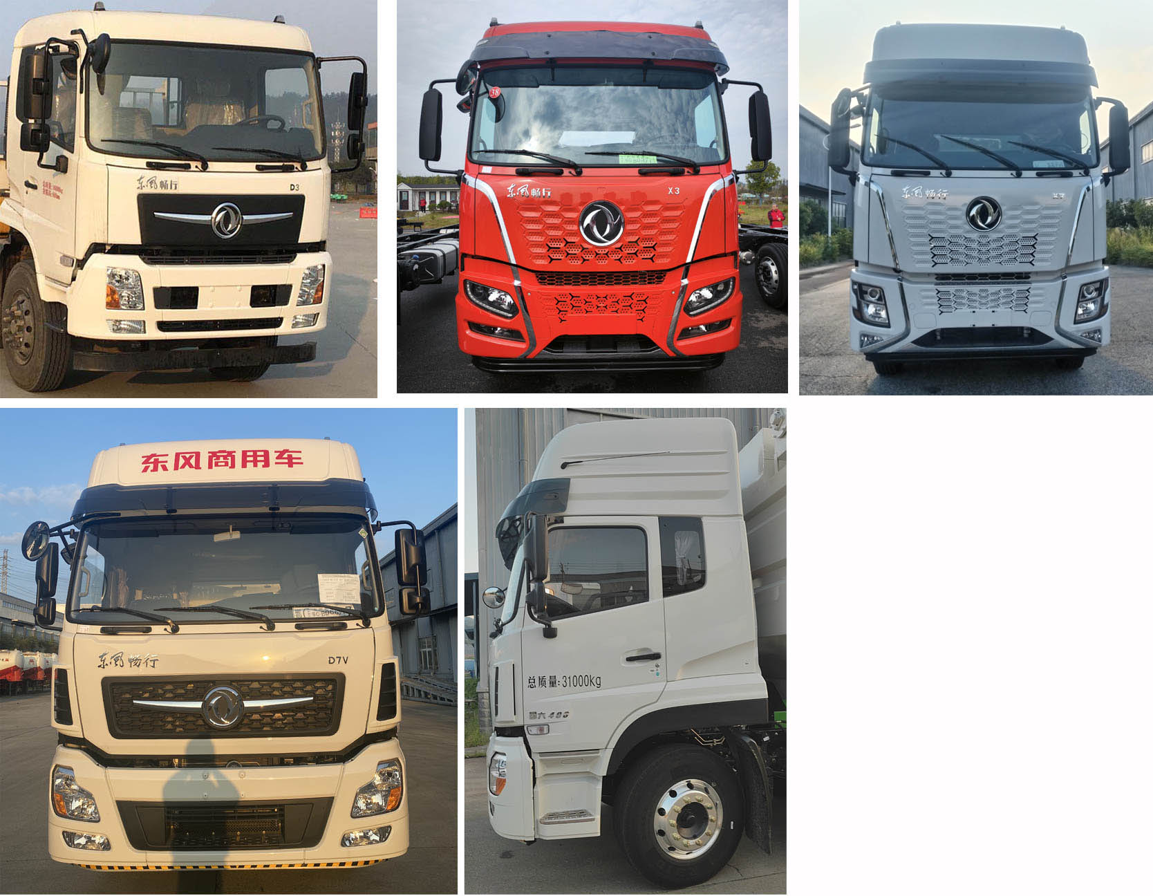 神鷹牌YG5311ZSLDFV6散裝飼料運輸車公告圖片