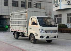 BJ5031CCYEV3纯电动仓栅式运输车图片