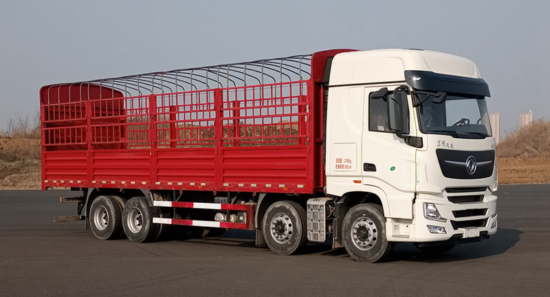 東風牌DFH5310CCYC1倉柵式運輸車公告圖片