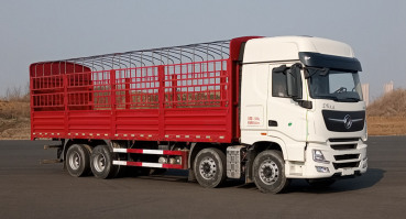 DFH5310CCYC1仓栅式运输车图片