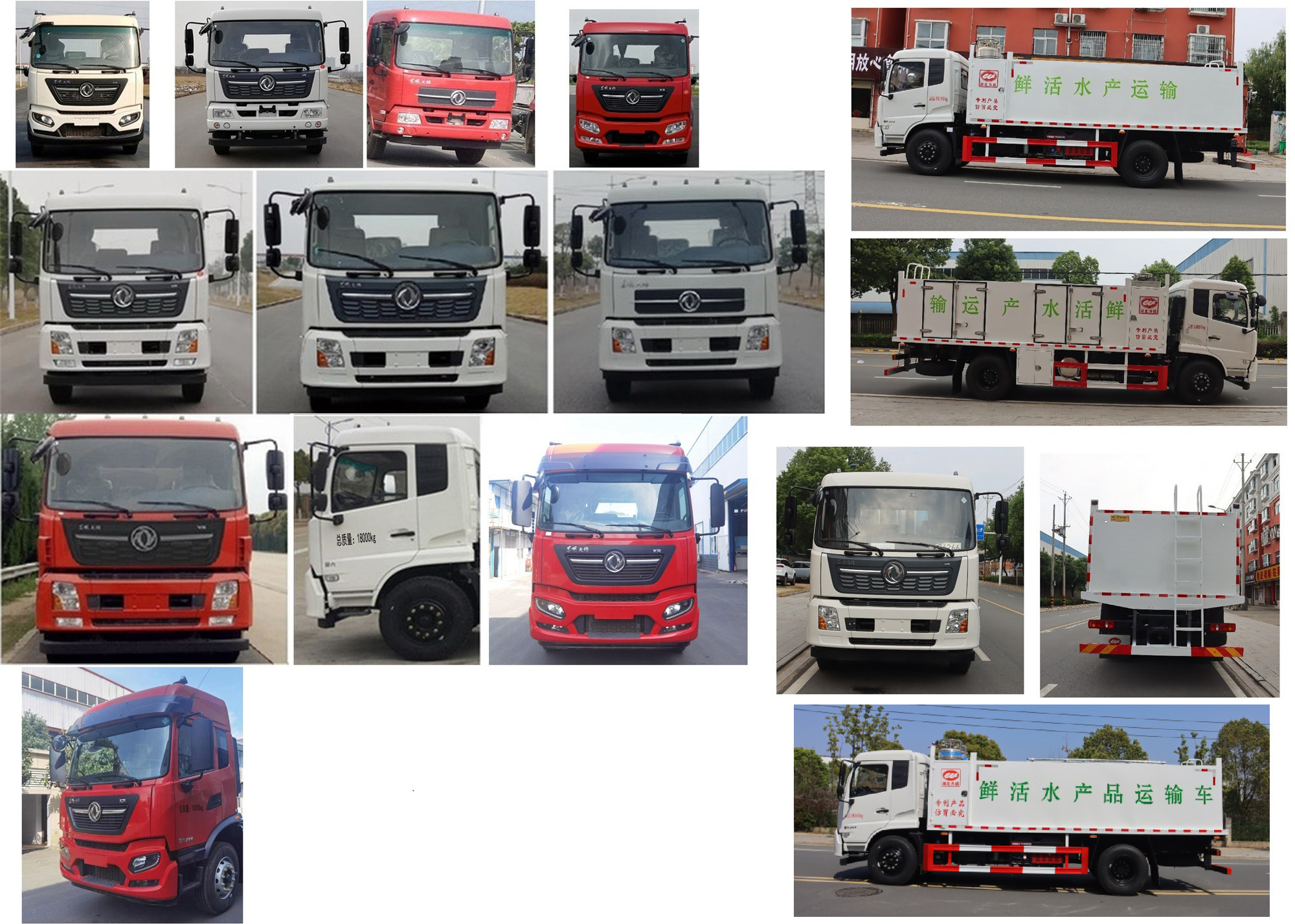 中汽力威牌HLW5181TSC6DF鮮活水產(chǎn)品運(yùn)輸車公告圖片