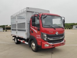 DFD5040CCYL6D11仓栅式运输车图片