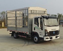 ZZ5097CCYH3414Z191BEVD1纯电动仓栅式运输车图片