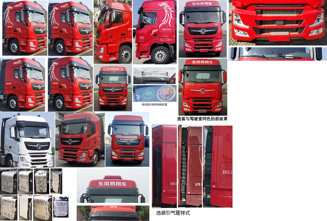 东风牌DFH5310CCQCX2畜禽运输车公告图片
