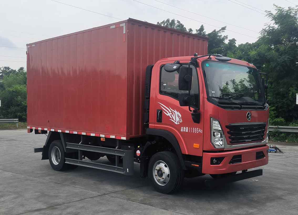 CDW5124XXYN421DFHA 王牌牌厢式货车图片