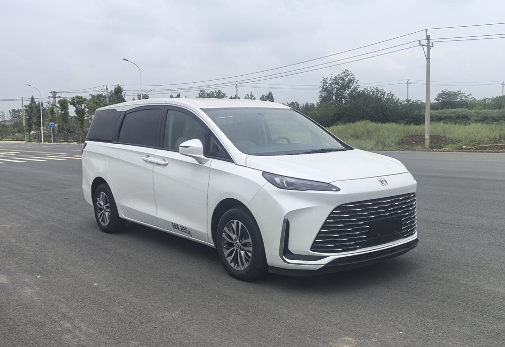 XLA5030XBYSGM 旭知牌殡仪车图片