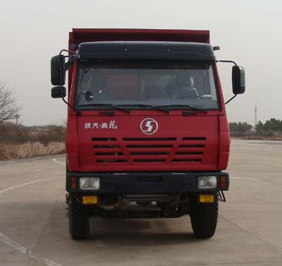 SX3255BM294自卸汽车燃油公告图片1