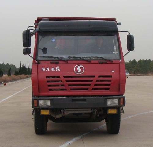 SX3255BR384自卸汽车燃油公告图片1