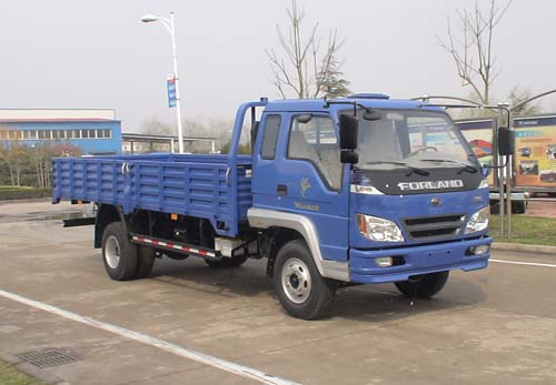 BJ1103VEPED-S载货汽车燃油公告图片2