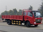 EQ1120GZ12D5载货汽车燃油公告图片2