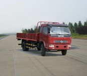 EQ1122GZ12D6载货汽车燃油公告图片2