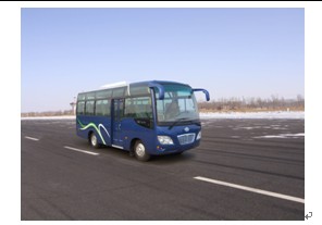 XQ6600T1Q2轻型客车燃油公告图片2