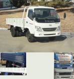 ZB1071LDD3S载货汽车燃油公告图片2