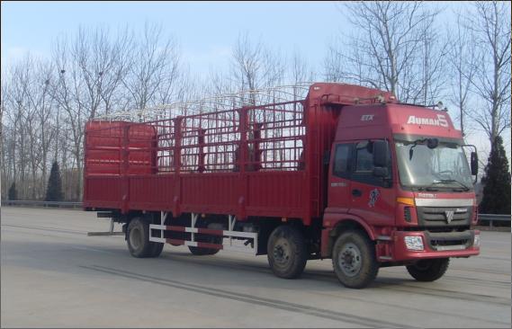 BJ5253VMCHL-S1仓栅式运输车燃油公告图片2