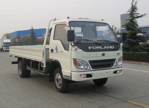 BJ1063VCJEA-S1载货汽车燃油公告图片2