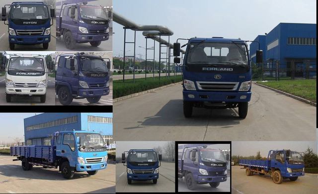 BJ1120VHPFG-S载货汽车燃油公告图片1