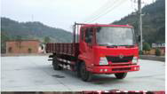 DFL1040B1载货汽车燃油公告图片2