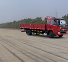 EQ1100GZ12D3载货汽车燃油公告图片2