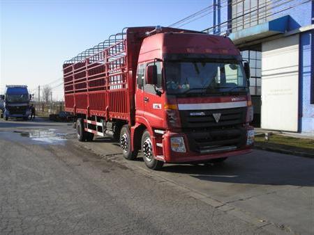 BJ5253VMCHL-S1仓栅式运输车燃油公告图片2