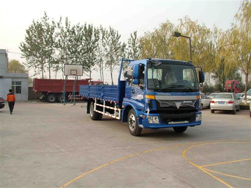 BJ1163VJPGG载货汽车燃油公告图片2