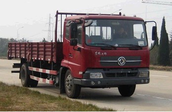 DFL1120B12载货汽车燃油公告图片2