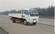 EQ1061TZ21D5载货汽车燃油公告图片2