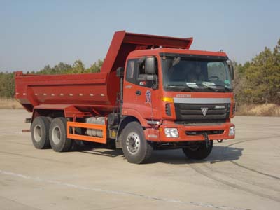 SDG3253GUMA1BJ自卸汽车燃油公告图片2