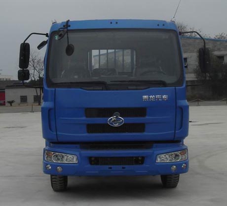 LZ1165RAP载货汽车燃油公告图片1