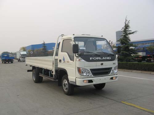BJ1043V8JEA-S载货汽车燃油公告图片2