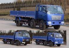 ZB1250TPQ1S载货汽车燃油公告图片2