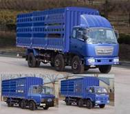 ZB5250CCQTPQ1S仓栅式运输车燃油公告图片2