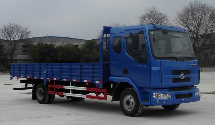 LZ1161RAP载货汽车燃油公告图片2