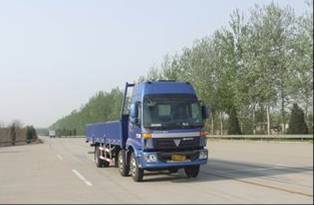 BJ1253VMPHP-1载货汽车燃油公告图片2