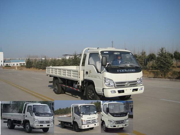BJ1043V9JEA-A载货汽车燃油公告图片2