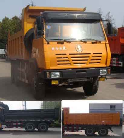 SX3255BR384自卸汽车燃油公告图片2