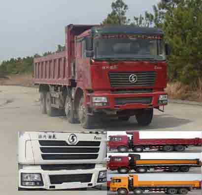 SX3315NR406自卸汽车燃油公告图片2