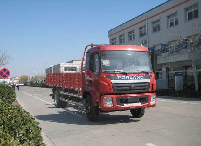 BJ1163VKPHK-A载货汽车燃油公告图片2