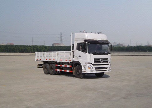 DFL1250A9载货汽车燃油公告图片2