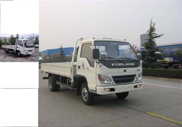 BJ1053VBJEA-S载货汽车燃油公告图片2