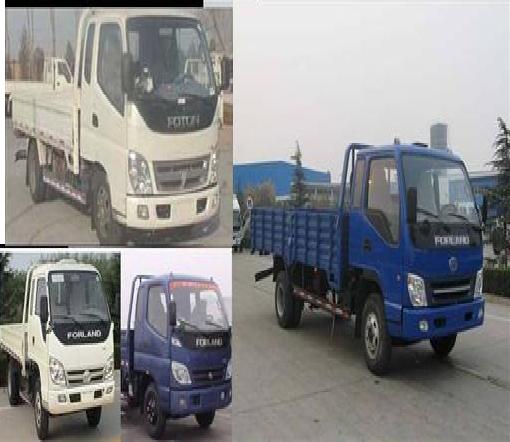 BJ1043V9PFA-S1载货汽车燃油公告图片2