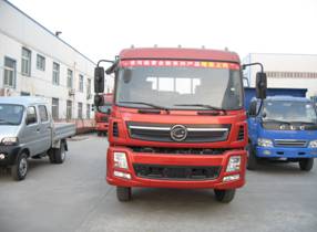 LH1140PB1载货汽车燃油公告图片1