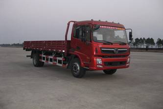 LH1140PB1载货汽车燃油公告图片2