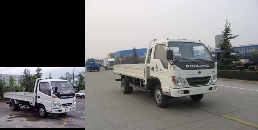 BJ1043V8JEA-S载货汽车燃油公告图片2