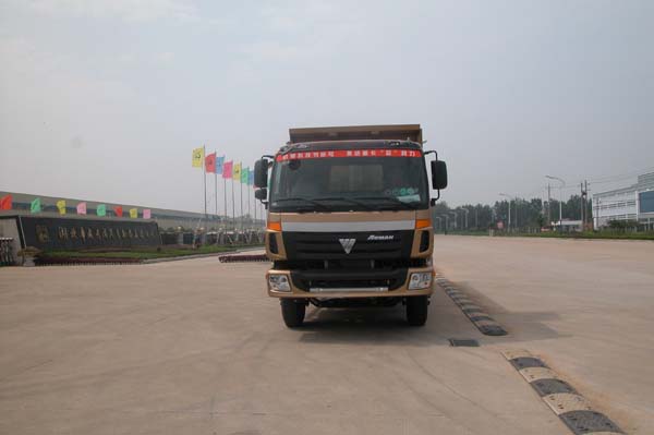 SGZ3223BJ3自卸汽车燃油公告图片1