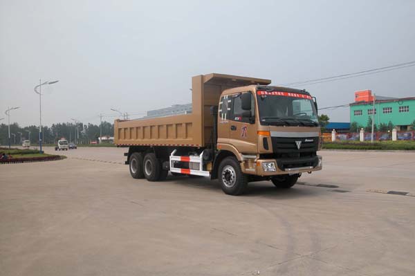 SGZ3223BJ3自卸汽车燃油公告图片2