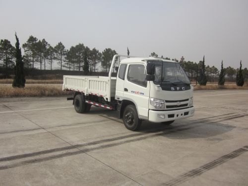 SSF1050HEP65-1载货汽车燃油公告图片2